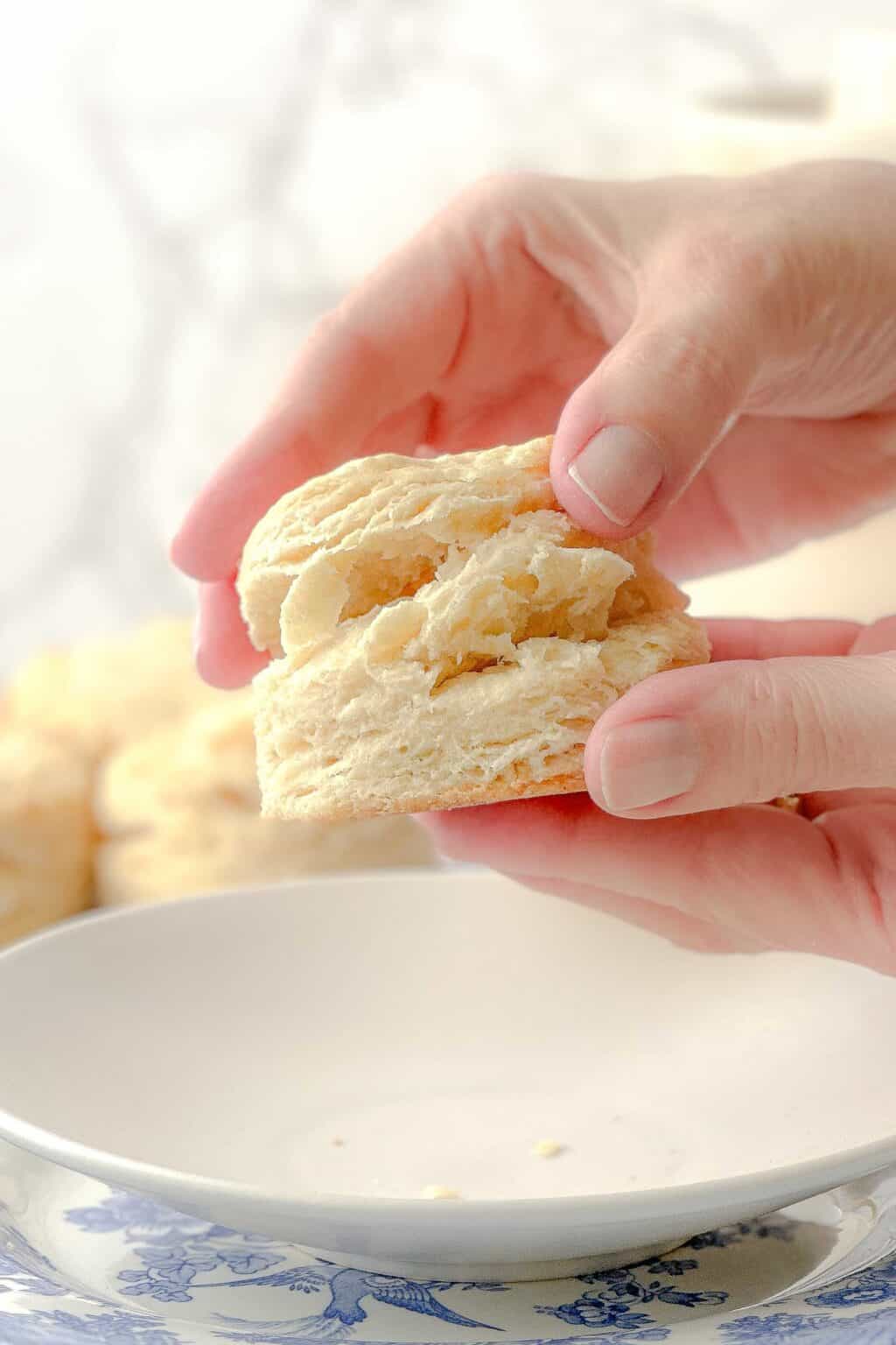 Easy Homemade Biscuit Recipe - 31 Daily